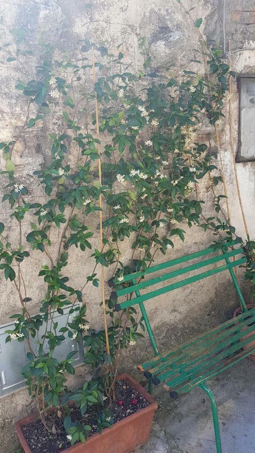 La casetta del Pellegrino Appartamento Poggio Bustone Esterno foto